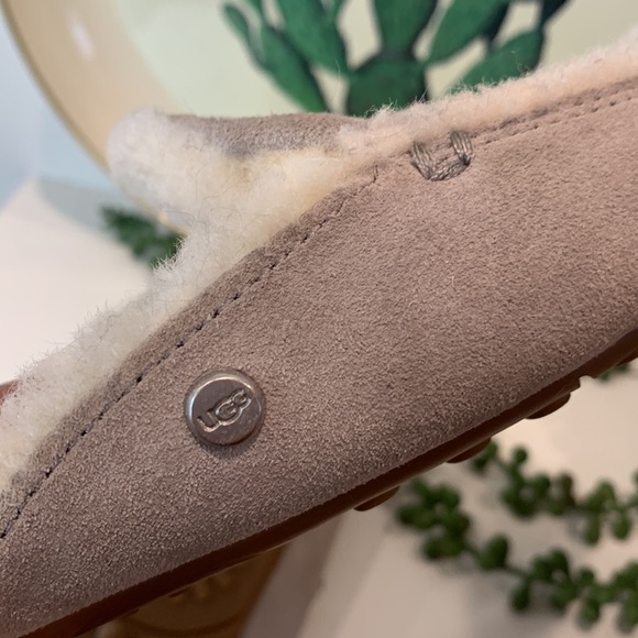 Ugg slipper mules - Picture 7 of 11